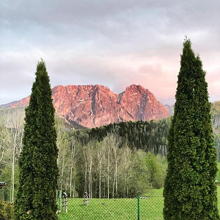 Żółta Turnia Apartamento Zakopane Exterior foto